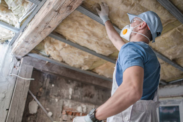 Best Commercial Insulation Contractor  in Judsonia, AR