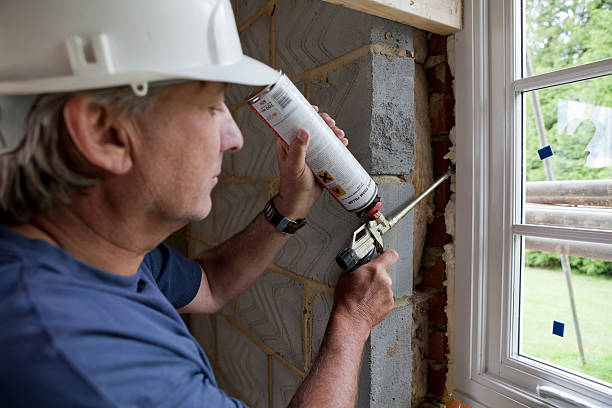 Best Insulation Inspection Services  in Judsonia, AR