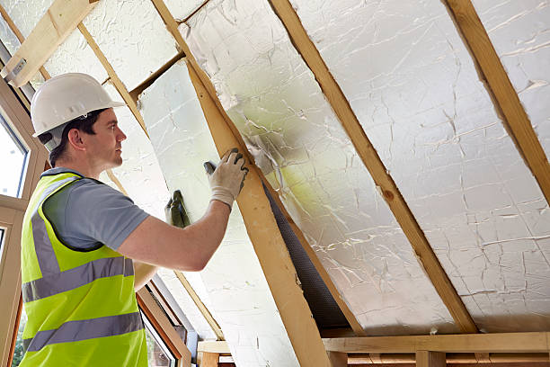 Best Local Insulation Services  in Judsonia, AR